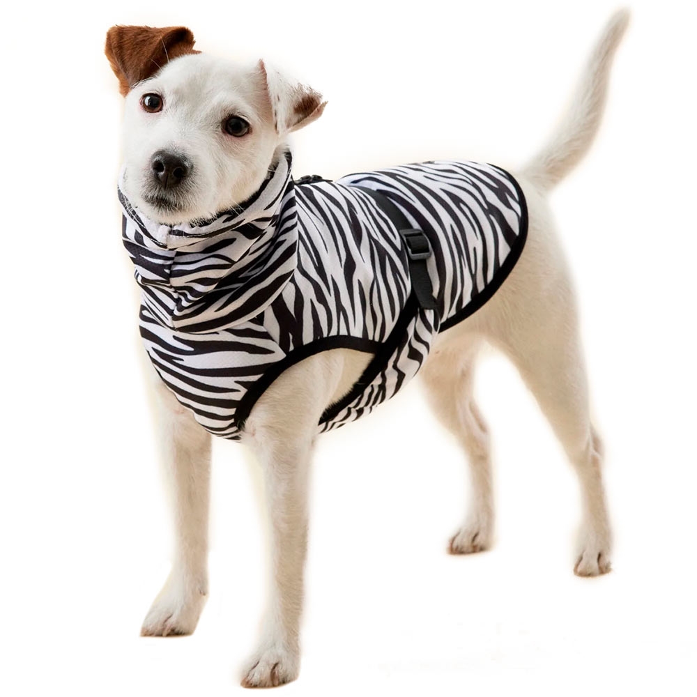 Spekulerer Helt vildt Northern Paikka Cool & Bug Shirt Zebradesign Til Hunden