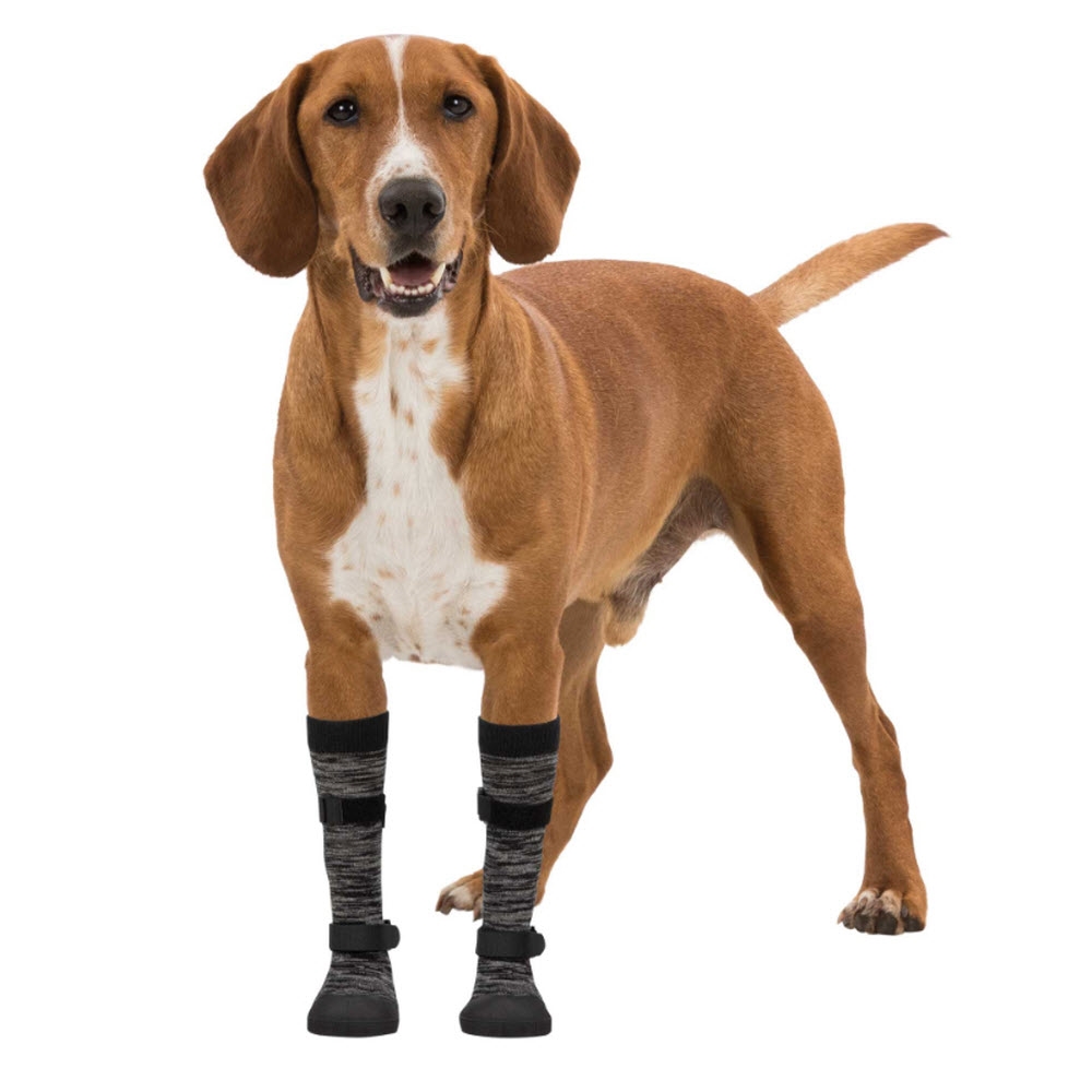 mærkning bælte Ønske Walker Socks Pote Beskyttelse Til Senior Hunden eller Sygdom