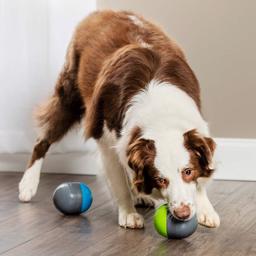 PetSafe Ricochet Elektronisk Hundelegetøj med Pivelyd