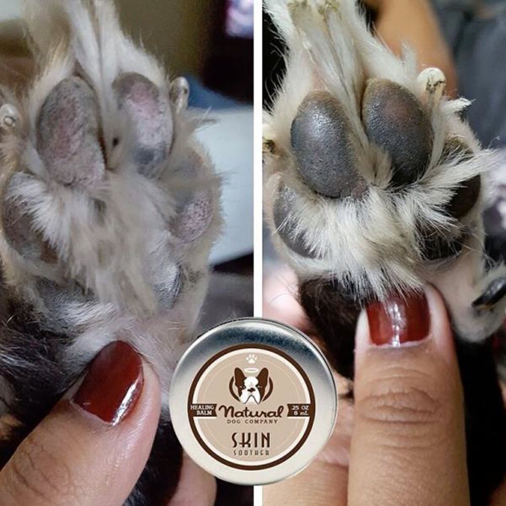 Natural Dog Company Skin Soother Travel Tin 8ml