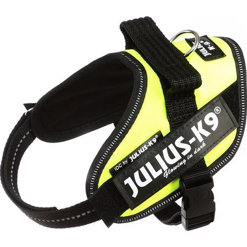 Julius K9 Hunde IDC Selen UV Neon 