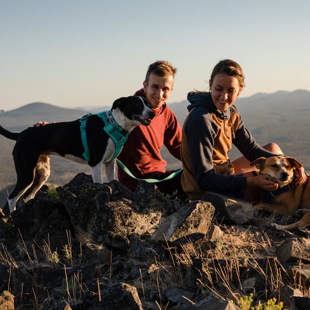 ruffwear front range hundesele