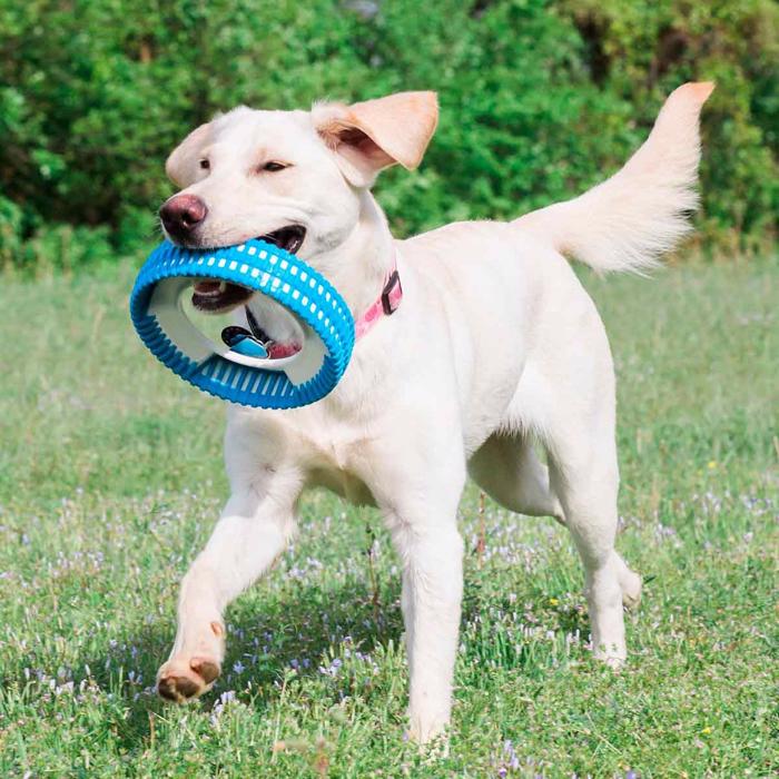 Chuckit Fetchwheel rugged Sjovt Holbart Hjul til Hunden i Blå