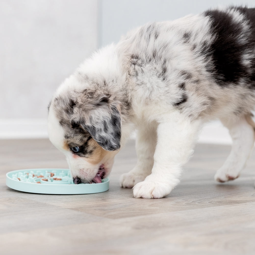 Trixie Slikkeplade Aktivering til hunden i Farven Mint