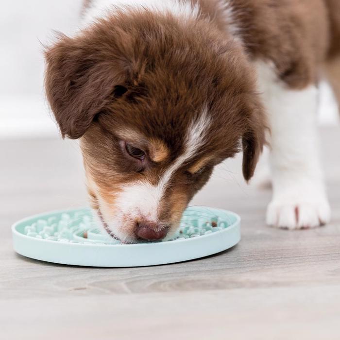 Trixie Junior Slikkeplade som Aktivering til hunden i Farven Mint