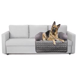 Flamingo Sofa Hunde Seng Design Conrad Beskyt Din Sofa