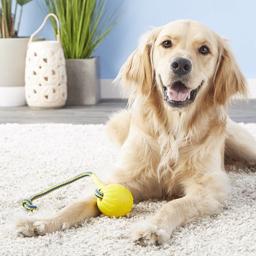 Starmark Foam Ball med Tov Hundebolde i Top Klasse