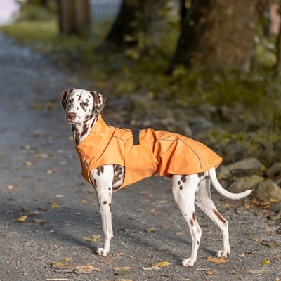 Trixie Hunde Regnjakke Design Vimy Orange