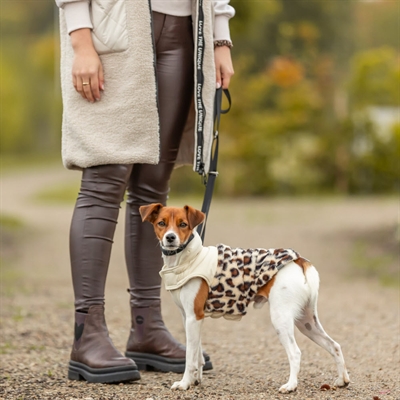 Trixie Vinterjakke Til Små og Mellem Hunde Design Ajou Creme Leo