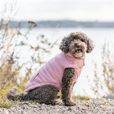 Trixie Vinterjakke Til Små og Mellem Hunde Design Ajou Rosa Pink