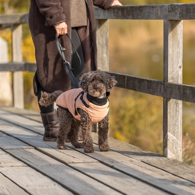 Trixie Pontis Hundejakke med Indbygget Sele i Farven Apricot