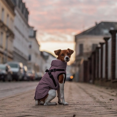 Trixie Pontis Vinterjakke Med Sele, Vandtæt & Fuldt Reflekterende Lilac