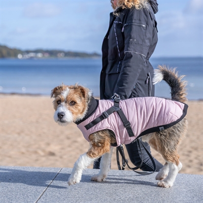 Trixie Pontis Hundejakke med Indbygget Sele i Rosa Pink