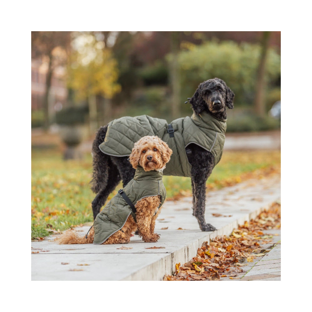Trixie Minot Vinterjakke Til Hunden Olivengrøn