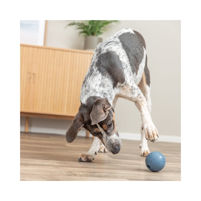 Trixie Snackbold Til Sjov Aktivering af Hunden Ø7cm Støvet blå