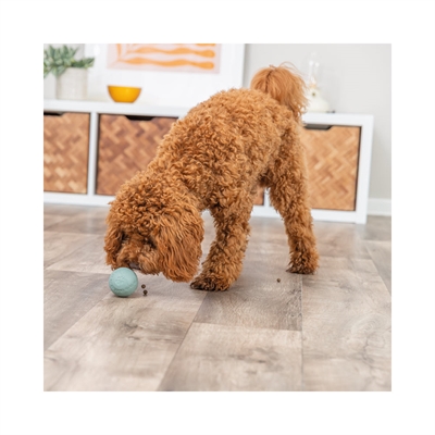 Trixie Snackbold Til Sjov Aktivering af Hunden Ø6cm Sage