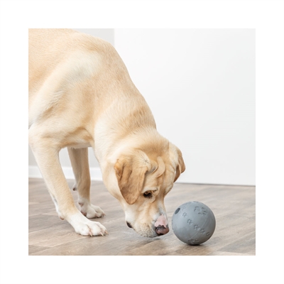 Trixie Snackbold Til Sjov Aktivering af Hunden Ø11cm Flot Grå