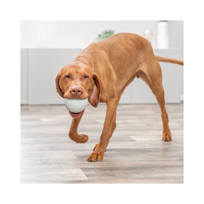 Trixie Snackbold Til Sjov Aktivering af Hunden Ø9cm Lysgrå