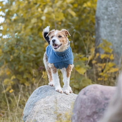 Trixie Design Norwood Hundepullover Striktrøje BlåGrå
