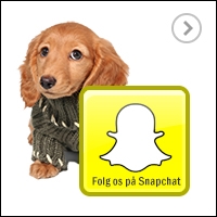 Snapchat - Følg Hooked4Pets.dk på Snapchat