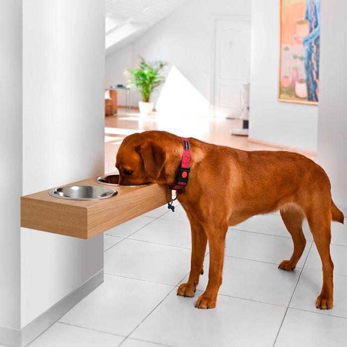 Håndlavet Designer Væghængt Foderbar Til Mellem og Store Hunde i Egetræ