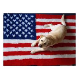Vet Bed Originalt Amerikansk Flag USA Model 100x150 cm