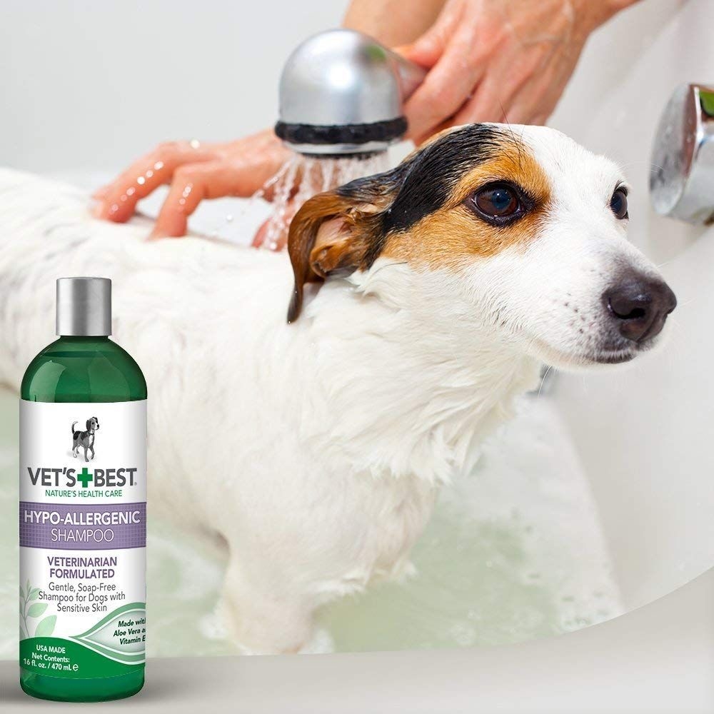 Vets Best Hypo Allergenic Shampoo Skånsom Shampoo
