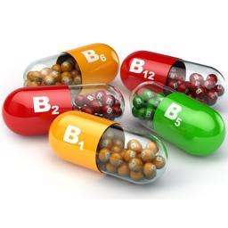 Vitamin tabletter Komplet Willamette Valley