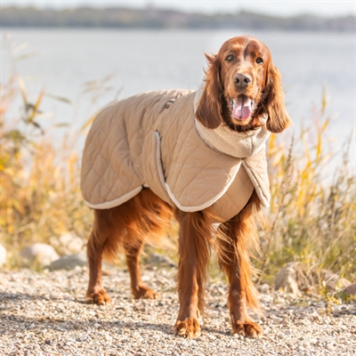 Sherpa Vinter Hundejakke Bamseplys & Lækkert Design MINOT Beige Sand