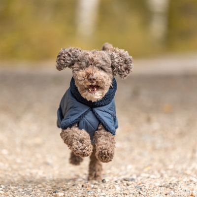 Sherpa Vinter Hundejakke Bamseplys & Lækkert Design MINOT Navy Blue