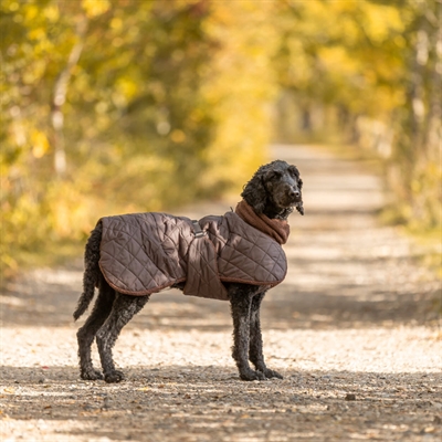 Sherpa Vinter Hundejakke Bamseplys & Lækkert Design MINOT Brown